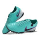 Сороконожки Найк Tiempo Legend 10 TF