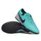 Сороконожки Найк Tiempo Legend 10 TF