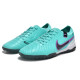 Сороконожки Найк Tiempo Legend 10 TF