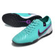 Сороконожки Найк Tiempo Legend 10 TF