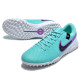 Сороконожки Найк Tiempo Legend 10 TF
