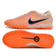 Сороконожки Найк Tiempo Legend 10 TF