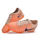 Сороконожки Найк Tiempo Legend 10 TF