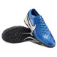 Сороконожки Найк Tiempo Legend 10 TF