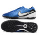 Сороконожки Найк Tiempo Legend 10 TF