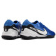 Сороконожки Найк Tiempo Legend 10 TF