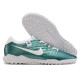 Сороконожки Найк Tiempo Legend 10 TF