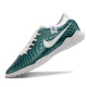 Сороконожки Найк Tiempo Legend 10 TF