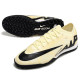 Сороконожки Найк Air Zoom Vapor XV TF