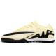 Сороконожки Найк Air Zoom Vapor XV TF