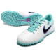 Сороконожки Найк Tiempo Legend 10 TF