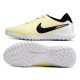 Сороконожки Найк Tiempo Legend 10 TF